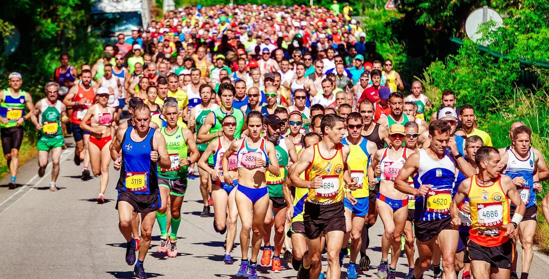 Dok Fai Ban Marathon 2026 – Kreatives Festival & Marathon-Erlebnis in Thailand